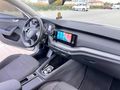 OCTAVİA + 2023 + DEĞİŞENSİZ + TRAMERSİZ + ELİTE- KART+KREDİ
