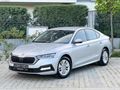 OCTAVİA + 2023 + DEĞİŞENSİZ + TRAMERSİZ + ELİTE- KART+KREDİ