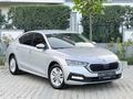 OCTAVİA + 2023 + DEĞİŞENSİZ + TRAMERSİZ + ELİTE- KART+KREDİ