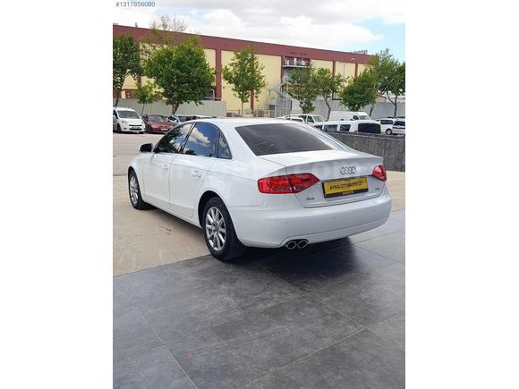 HATASIZ TADINDA A4 LİMOUSİNE