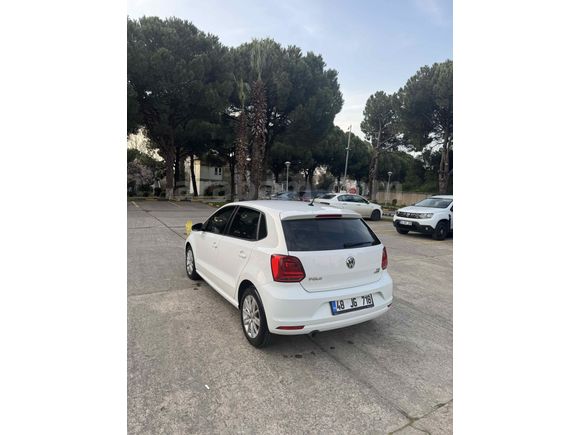 Temiz bakımlı polo
