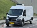 2015 FİAT DUCATO 13 m / -4 SAFKAR FRİGOLU - /
