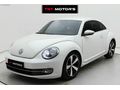 2013 MODEL HATASIZ BOYASIZ HASAR KAYITSIZ EMSALSİZ DESİNG BEETLE