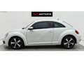 2013 MODEL HATASIZ BOYASIZ HASAR KAYITSIZ EMSALSİZ DESİNG BEETLE