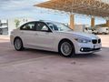 3 Serisi 320i EfficientDynamics Luxury Line Plus Otomatik
