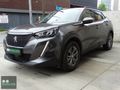 2020 Peugeot 2008 1.2 PureTech Active Dynamic EAT8 - 132 HP