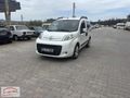ADEN DEN TEK DEGİSENLİ FİORİNO