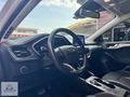 2021 FOCUS 1.5 ECOBLUE TİTANİUM HATASIZ BOYASIZ 99.### KM