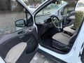 YILDIRIM AUTO DAN OTOMOBİL RUHSATLI CORIER