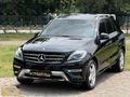 2013/MERCEDES-BENZ/ML/350/AMG/HATASIZ/CAM TAVAN/K.KARTA/12 TAKSİ