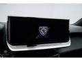 2025 PEUGEOT 2008 ALLURE CAM TAVAN