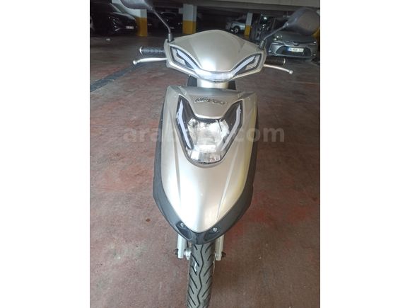 Sahibinden Revolt RS7
