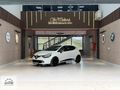 HATASIZ AYARINDA CAM GİBİ CLIO