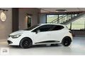 HATASIZ AYARINDA CAM GİBİ CLIO
