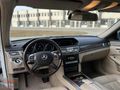 ÇİTİL'DEN E180 EXCLUSİVE