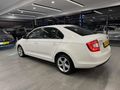 SKODA RAPİT1.4 TDI Green Tec Style
