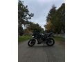 Sahibinden Mondial 125 Drift L CBS 
