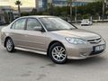 DEĞİŞENSİZ KAZASIZ BAL KÖPÜĞÜ OTOMATİK