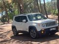 Renegade 1.6 L multijet II 4x2 limited DDCT