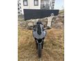 Sahibinden RKS M250 Muğla