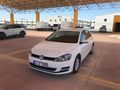 2017 tescilli golf 7
