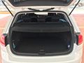 2017 tescilli golf 7
