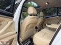 "GÖKKAYA AUTO" 2013 PREMİUM 520 d