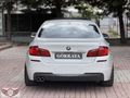 "GÖKKAYA AUTO" 2013 PREMİUM 520 d