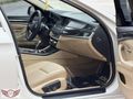 "GÖKKAYA AUTO" 2013 PREMİUM 520 d
