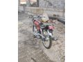 Sahibinden Kuba Çita 50 R