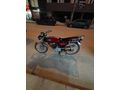 Sahibinden Kuba Çita 50 R