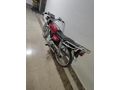 Sahibinden Kuba Çita 50 R