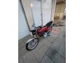 Sahibinden Kuba Çita 50 R
