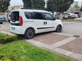 otomobil ruhsatlı en temizinden.