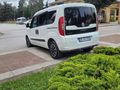 otomobil ruhsatlı en temizinden.