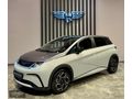 NEWMOTORSDAN HATASIZ BOYASIZ 2025 MODEL ÖZEL RENK DOLPHIN