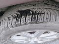 Sahibinden Fiat Doblo Combi 1.6 Multijet Premio 2010 Model  Kahverengi