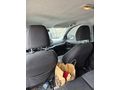 Sahibinden Fiat Egea 1.6 Multijet Easy 2019 Model