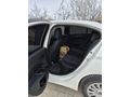 Sahibinden Fiat Egea 1.6 Multijet Easy 2019 Model