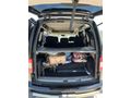 Sahibinden Volkswagen Caddy 1.9 TDI Kombi 2010 Model 
