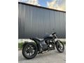 Sahibinden Regal Raptor Pilder 125 