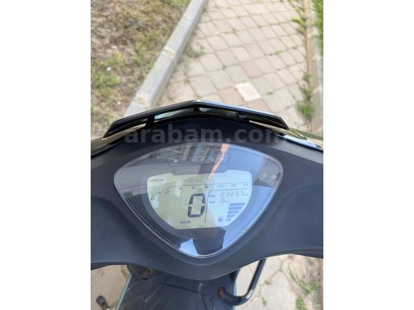 Sahibinden Kuba Pesaro 50 X 