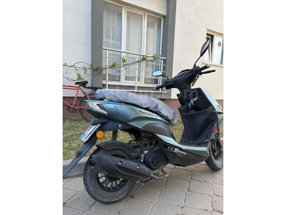 Sahibinden Kuba Pesaro 50 X 