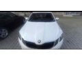 Sahibinden Skoda Octavia 1.6 TDI Optimal 2019 Model 