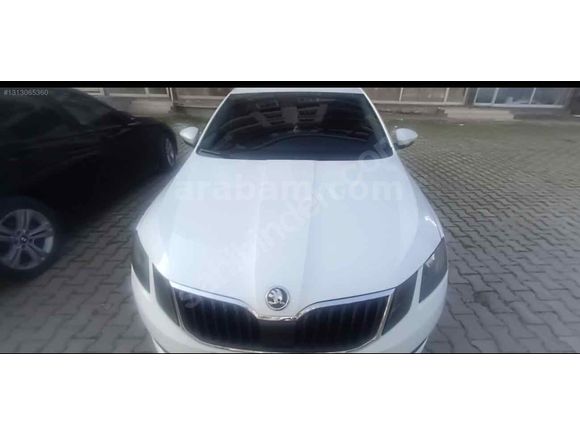 Sahibinden Skoda Octavia 1.6 TDI Optimal 2019 Model 