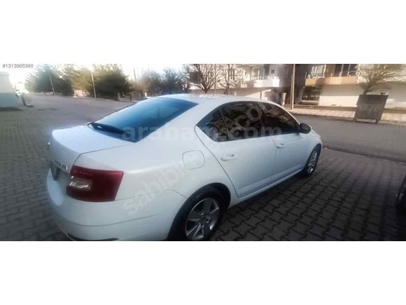 Sahibinden Skoda Octavia 1.6 TDI Optimal 2019 Model 