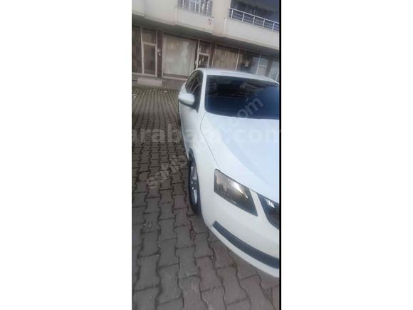 Sahibinden Skoda Octavia 1.6 TDI Optimal 2019 Model 