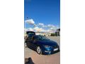 TEK PARÇA BOYALI SEAT LEON