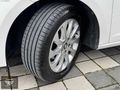 3S AUTO'DAN LEON