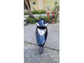 Sahibinden Honda Spacy 110